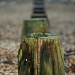 Groynes by andycoleborn