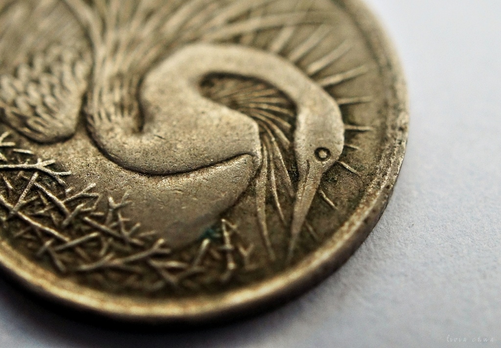 Coin by myautofocuslife