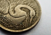 24th Sep 2012 - Coin