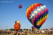 23rd Sep 2012 - Balloon Festival