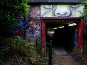 23rd Sep 2012 - Mouth of the tunnel