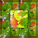 Fall Colors Collage by olivetreeann