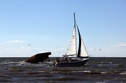 23rd Sep 2012 - Cement Ship and Sail Boat