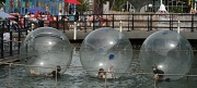 22nd Sep 2012 - Day 6:  wet - spheres 