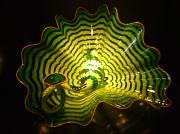 24th Sep 2012 - Chihuly - Green