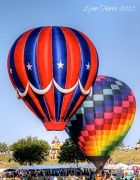 24th Sep 2012 - Hot Air Balloons