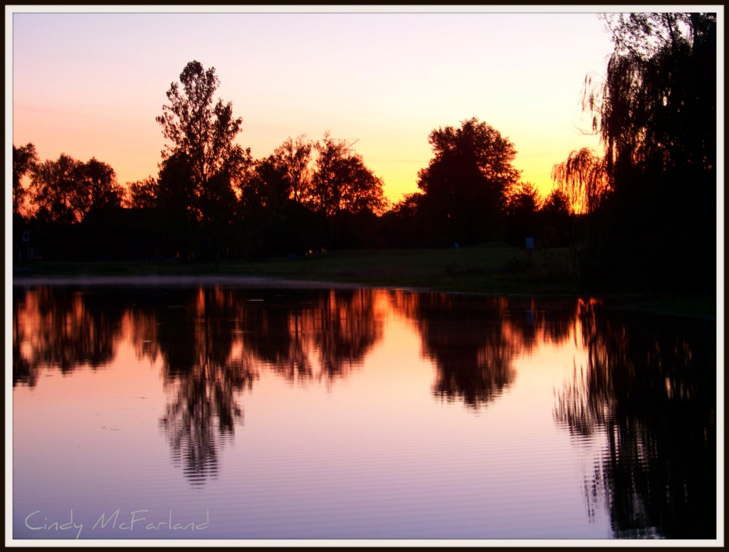 Pond Reflections by cindymc