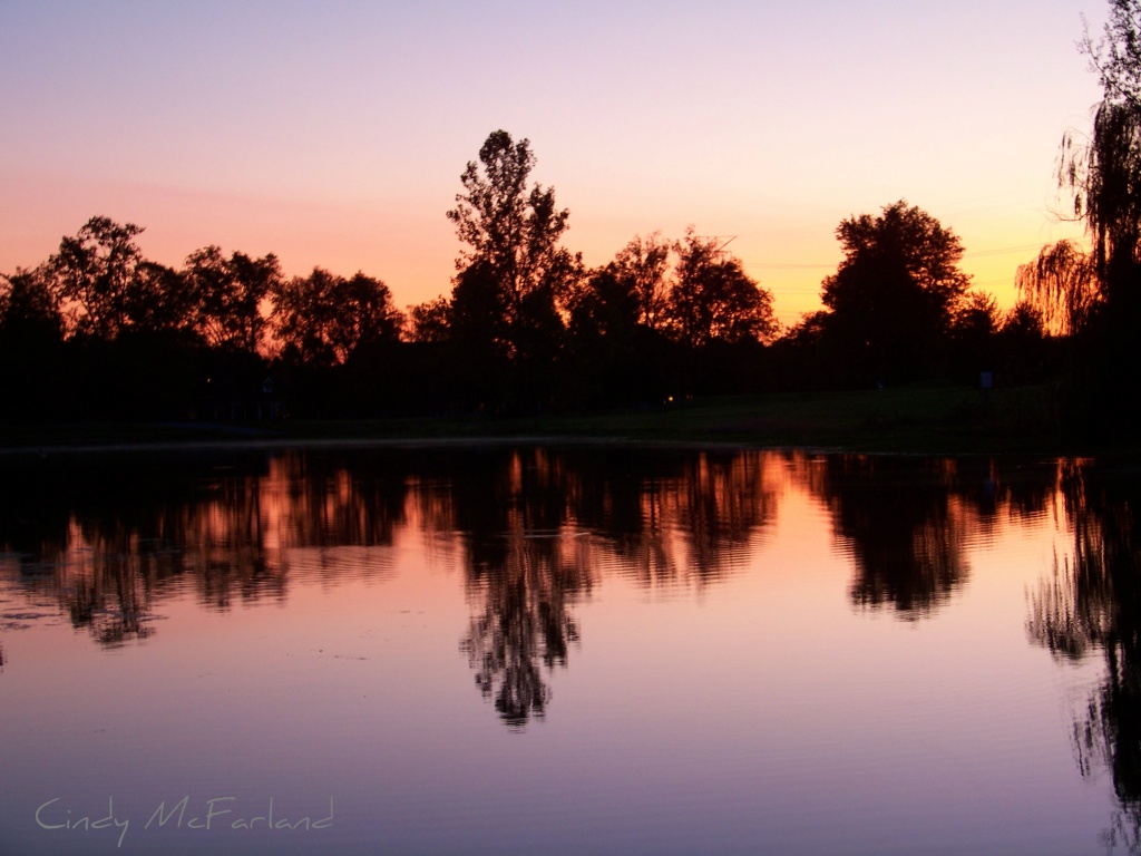 Pond Reflections II by cindymc