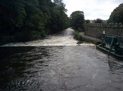 24th Sep 2012 - River Tavy on  Flood alert today 