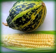 24th Sep 2012 - Little harvest