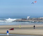 24th Sep 2012 - Battling Kites