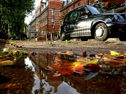 24th Sep 2012 - The return of the puddle
