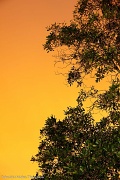 24th Sep 2012 - An orange sky