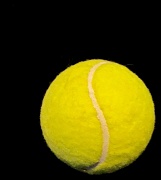 24th Sep 2012 - TennisBall