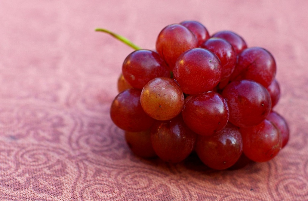 (Day 224) - Delicious Cluster of Grapes by cjphoto