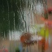 OK, I give in, here's the inevitable rain on window shot! by if1