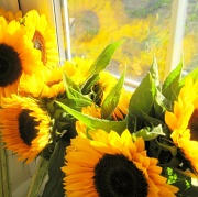 23rd Sep 2012 - Sunny Flowers