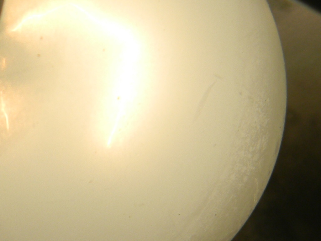 Light Bulb in Fridge 9.25.12  by sfeldphotos