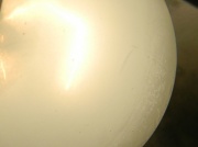 25th Sep 2012 - Light Bulb in Fridge 9.25.12 