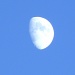Close-up of the Moon 9.24.12 by sfeldphotos
