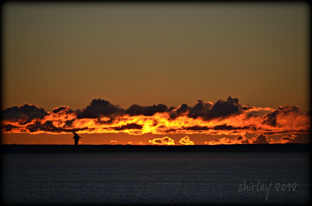 Sunrise over Lake Michigan  by mjmaven