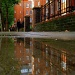 More puddles by boxplayer