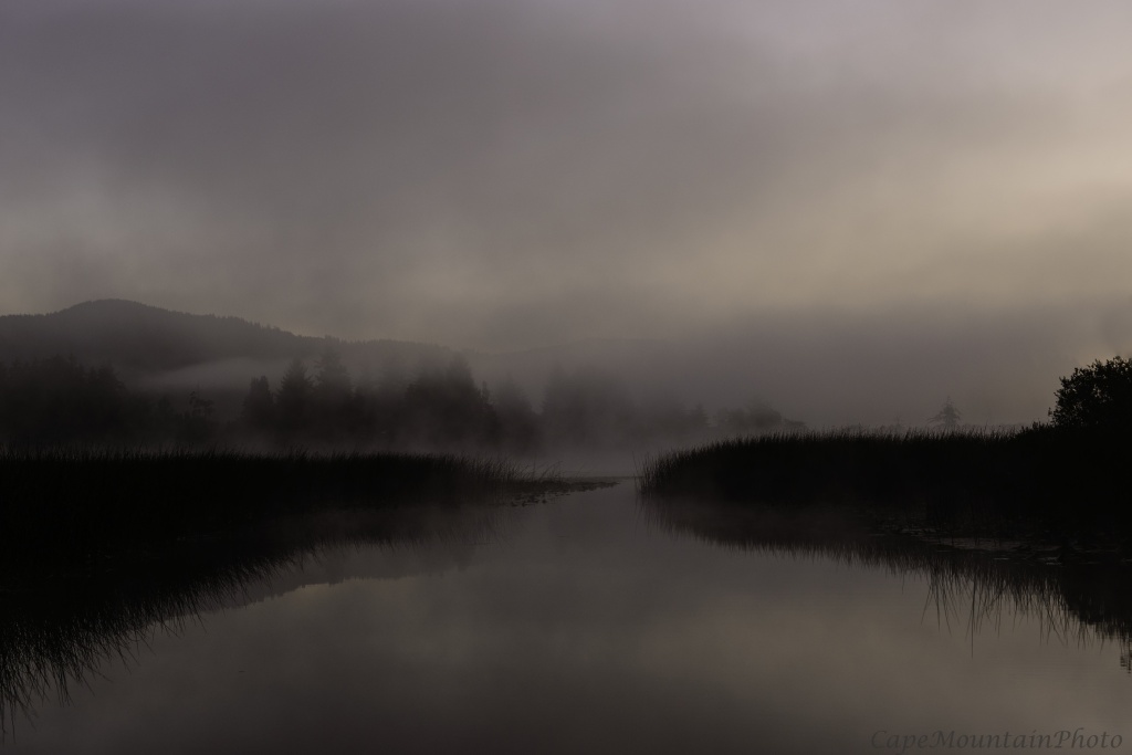 Foggy Dawn at Sutton Lake by jgpittenger