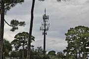 27th Sep 2012 - Cellphone tower