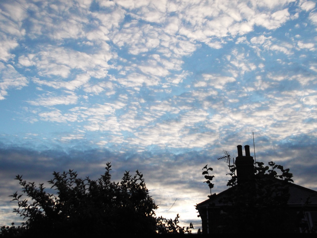 Another evening sky by plainjaneandnononsense