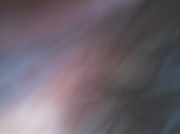 22nd Oct 2012 - Abstract In Motion