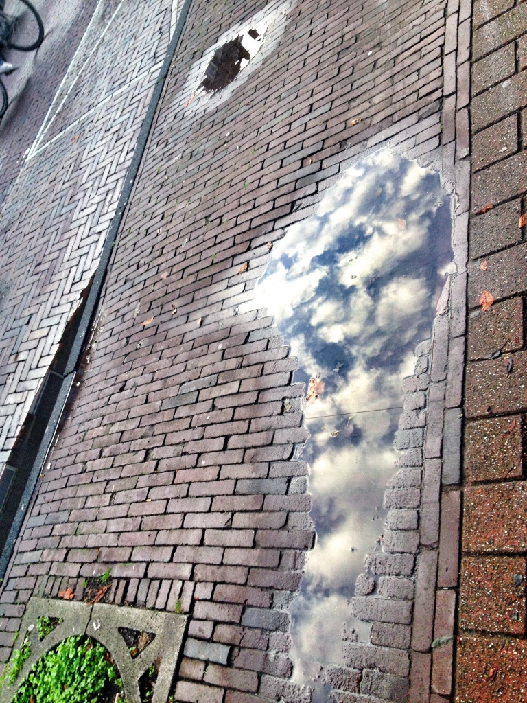 Clouds reflected by halkia