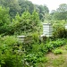 Beehives Nr St Mawes, Cornwall. by denidouble