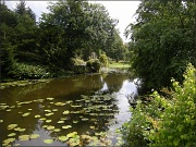 27th Sep 2012 - A view of the hortus