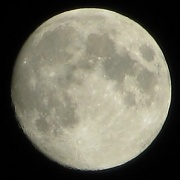 28th Sep 2012 - Lovely Luna