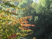 27th Sep 2012 - Hint of Autumn