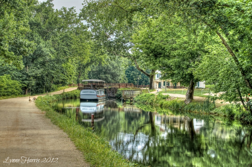 C&O Canal by lynne5477