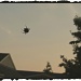 Yesterday's Spider by allie912
