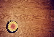 26th Sep 2012 - Remnant of a bouquet....