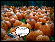 30th Sep 2012 - Pumpkin Breakout