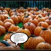 Pumpkin Breakout by cindymc