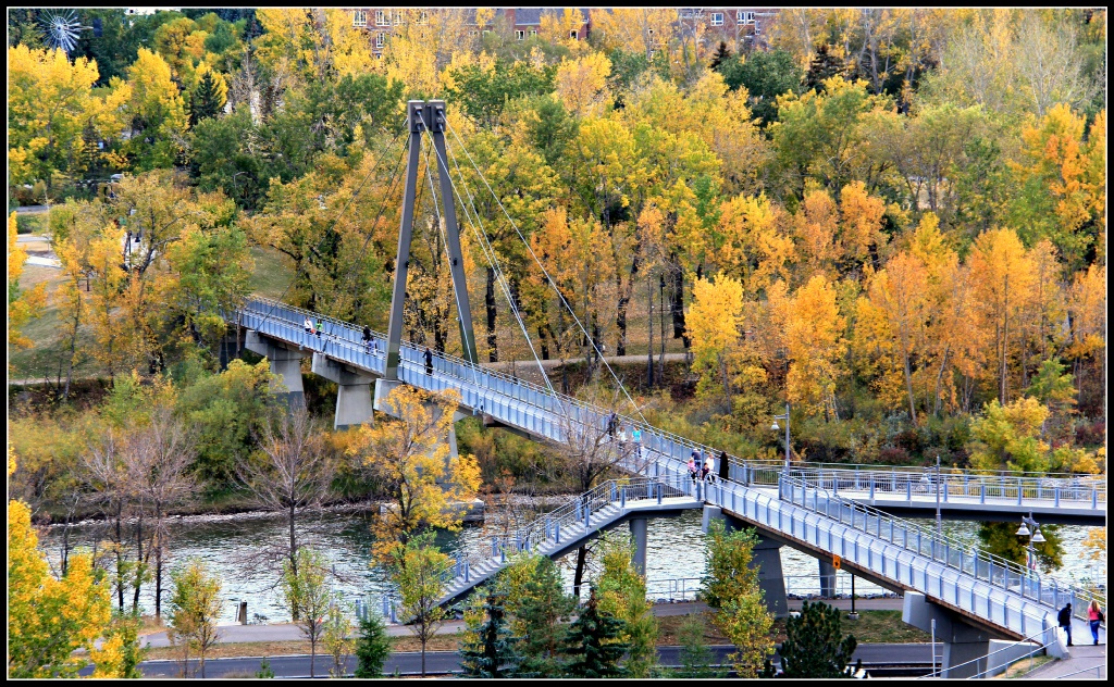Bridge into Fall by kph129
