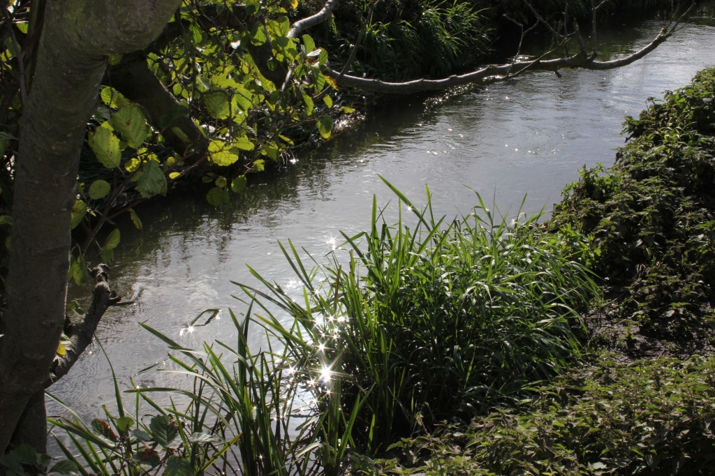 Thurlaston Brook (on a quiet day) by shepherdman