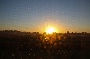 30th Sep 2012 - Sunrise - Over Corn