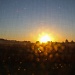 Sunrise - Over Corn by cdonohoue