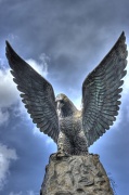 30th Sep 2012 - Watchful Eagle