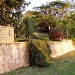 Front Garden by corymbia