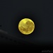 yellow moon by winshez