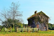 1st Oct 2012 - Abandoned Farmhouse