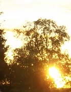 28th Sep 2012 - Flaming Sunset