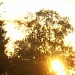 Flaming Sunset by rosbush